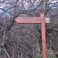 Gorbeia (202)